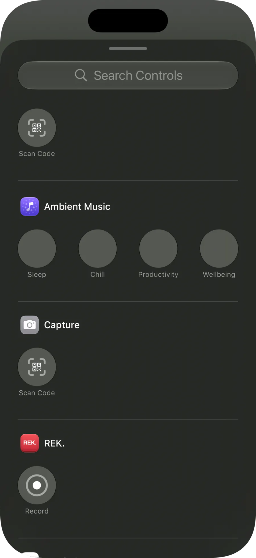 The Control Center gallery with REK.'s Record control listed