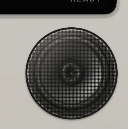 The speaker with its cone torn